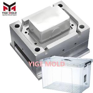 Clear Plastic Organizer Box Injection Mold test video