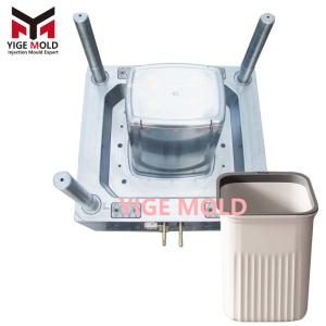 Household Trash Can Mold