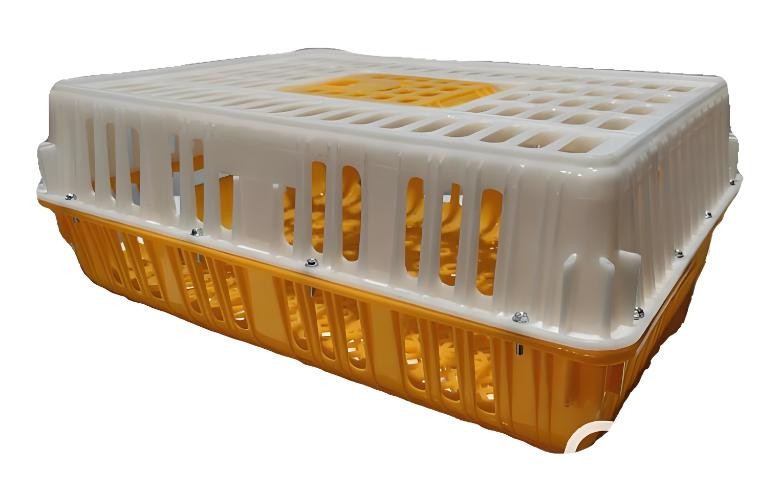Injection Poultry Turnover Box Mold Injection Poultry Turnover Box Mold