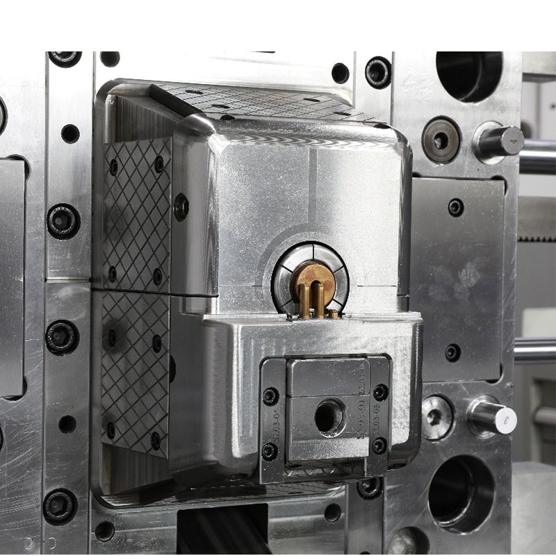 Mold Testing Mold Testing