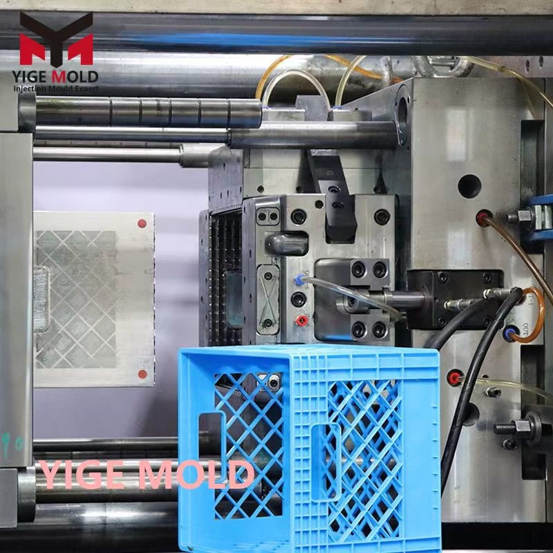 Mold Testing Mold Testing