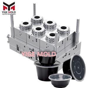 Thin Wall Mold